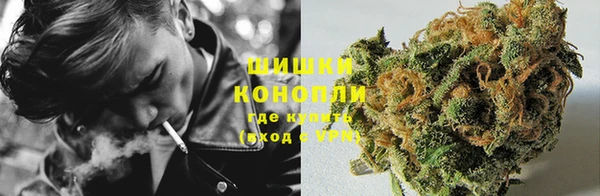 МДПВ Волоколамск