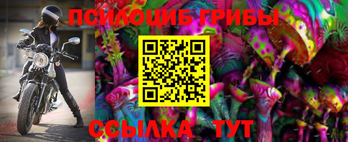 купить наркотики сайты  Псилоцибиновые грибы мицелий  Вход с VPN  Мариинск 
