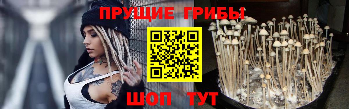 Псилоцибиновые грибы мухоморы Мариинск